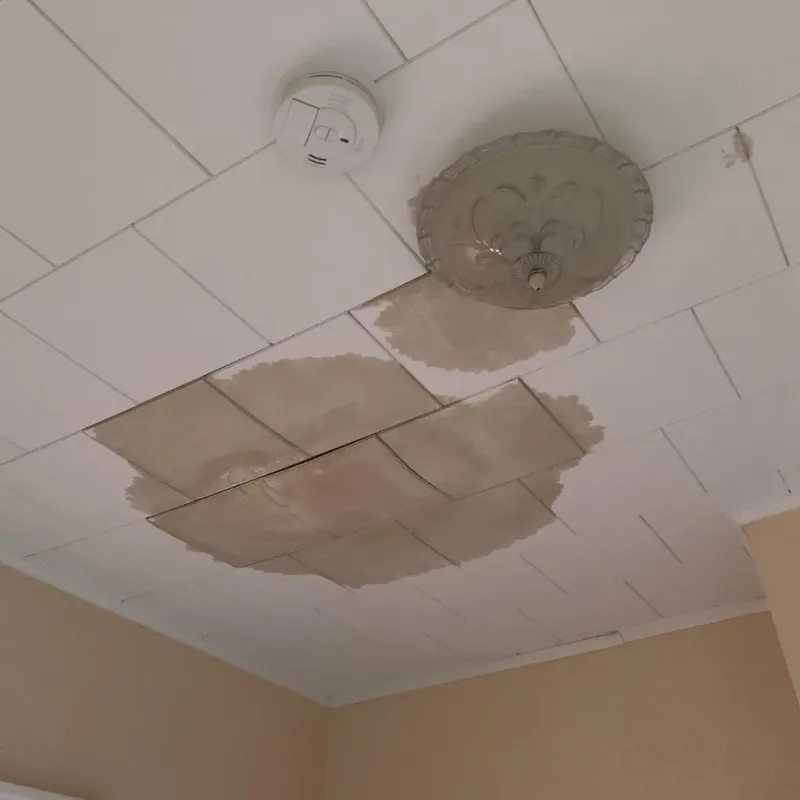 Ceiling Water Damage Repair in Lake Mills, IA