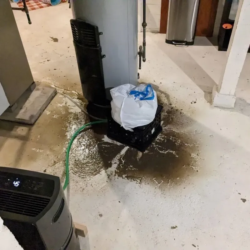 Sewage Backup Cleanup Service in Lake Mills, IA